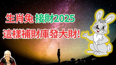 兔年運程 2024|【屬兔2024生肖運勢】是非多人氣旺，運勢漸入佳。